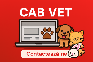 contact aplicatie software de uz veterinar CAB VET